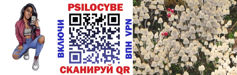 Псилоцибиновые грибы ЛСД  Купить закладки  Салехард 